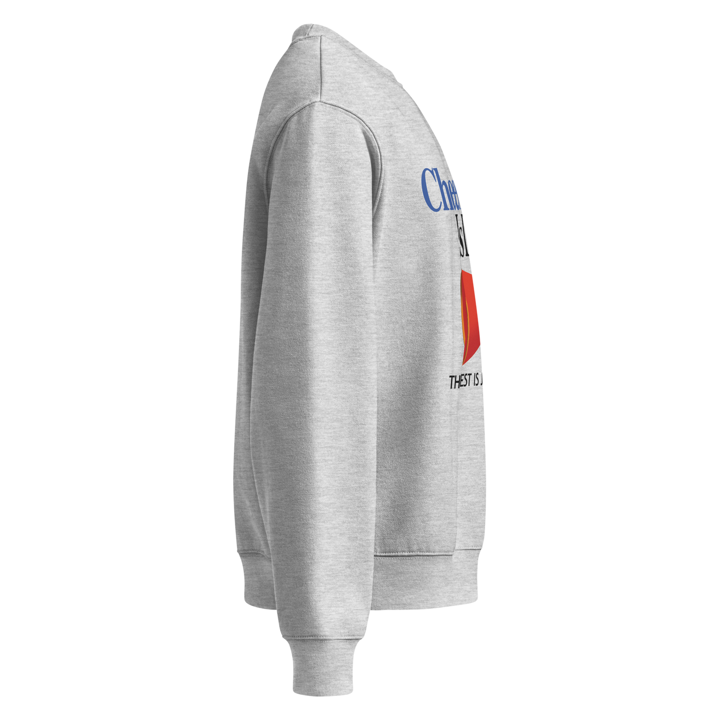 Cheerleading Is Life Vintage Oversized Heavyweight Sweatshirt