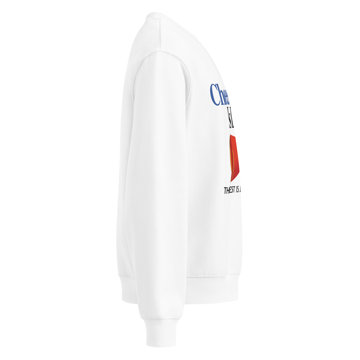 Cheerleading Is Life Vintage Oversized Heavyweight Sweatshirt